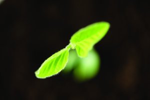 万字拆解O2O运营的成功要素